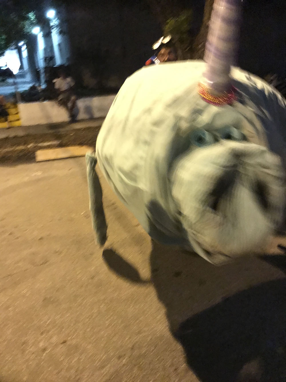 Fantasy Fest Parade 2017 photo - Duval Street, Key West